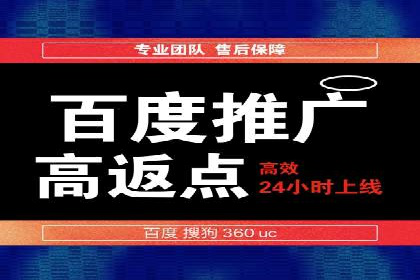 百度推广费用投入与转化率提升的经典案例